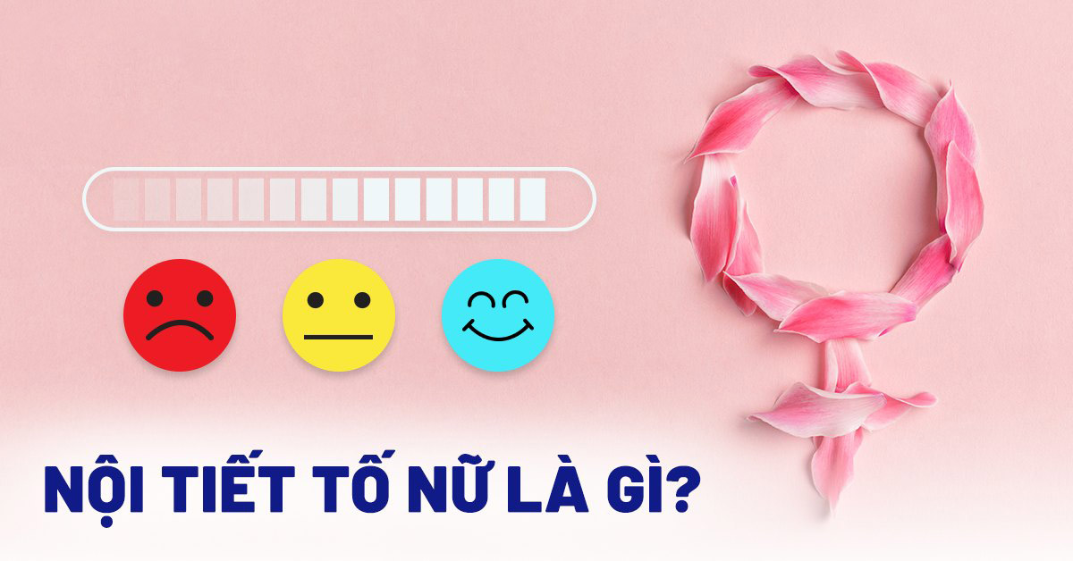 nội tiết tố nữ là gì