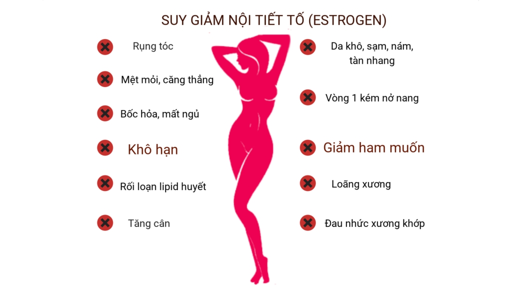 suy giảm nội tiết tố nữ oestrogen